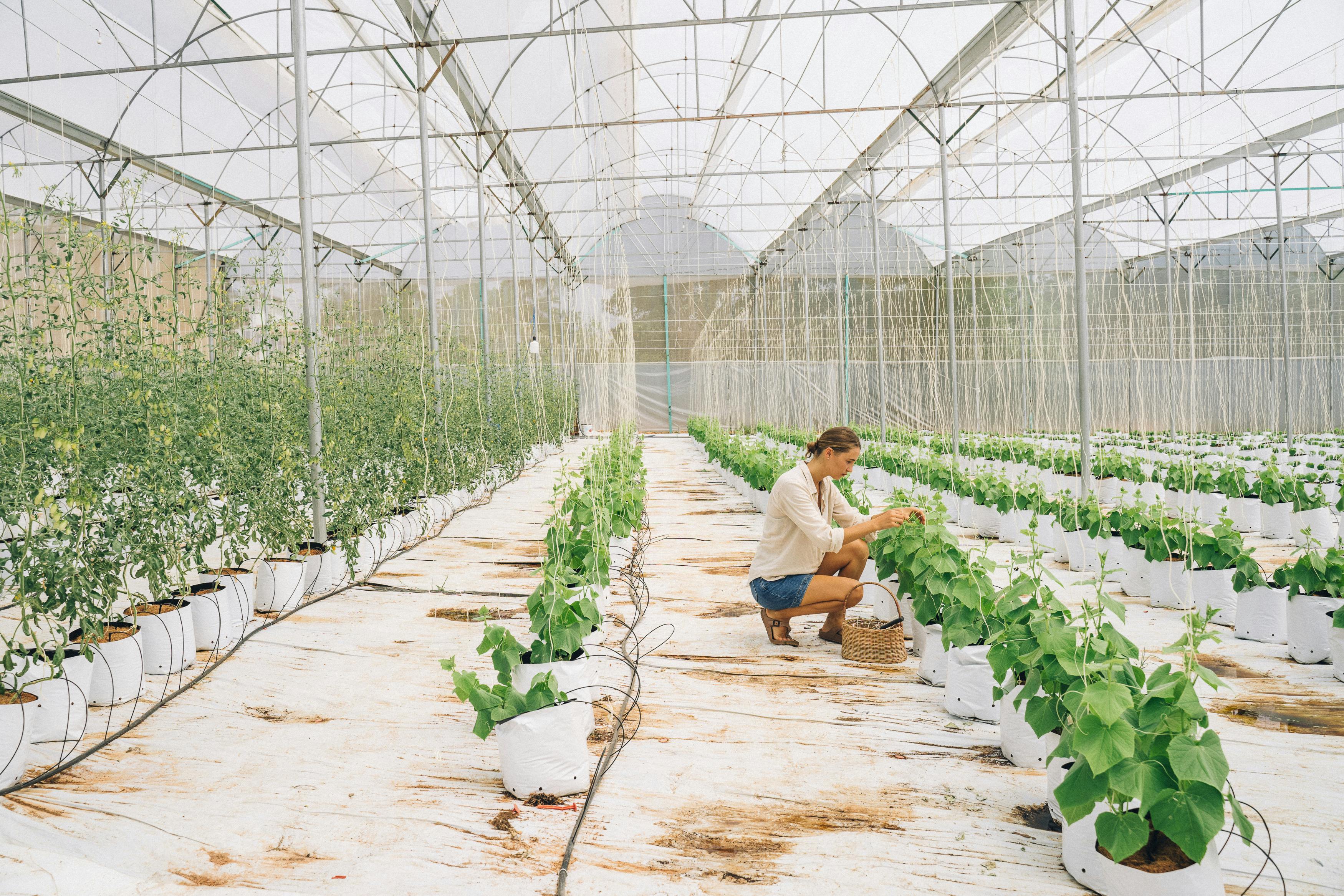 Indoor farm